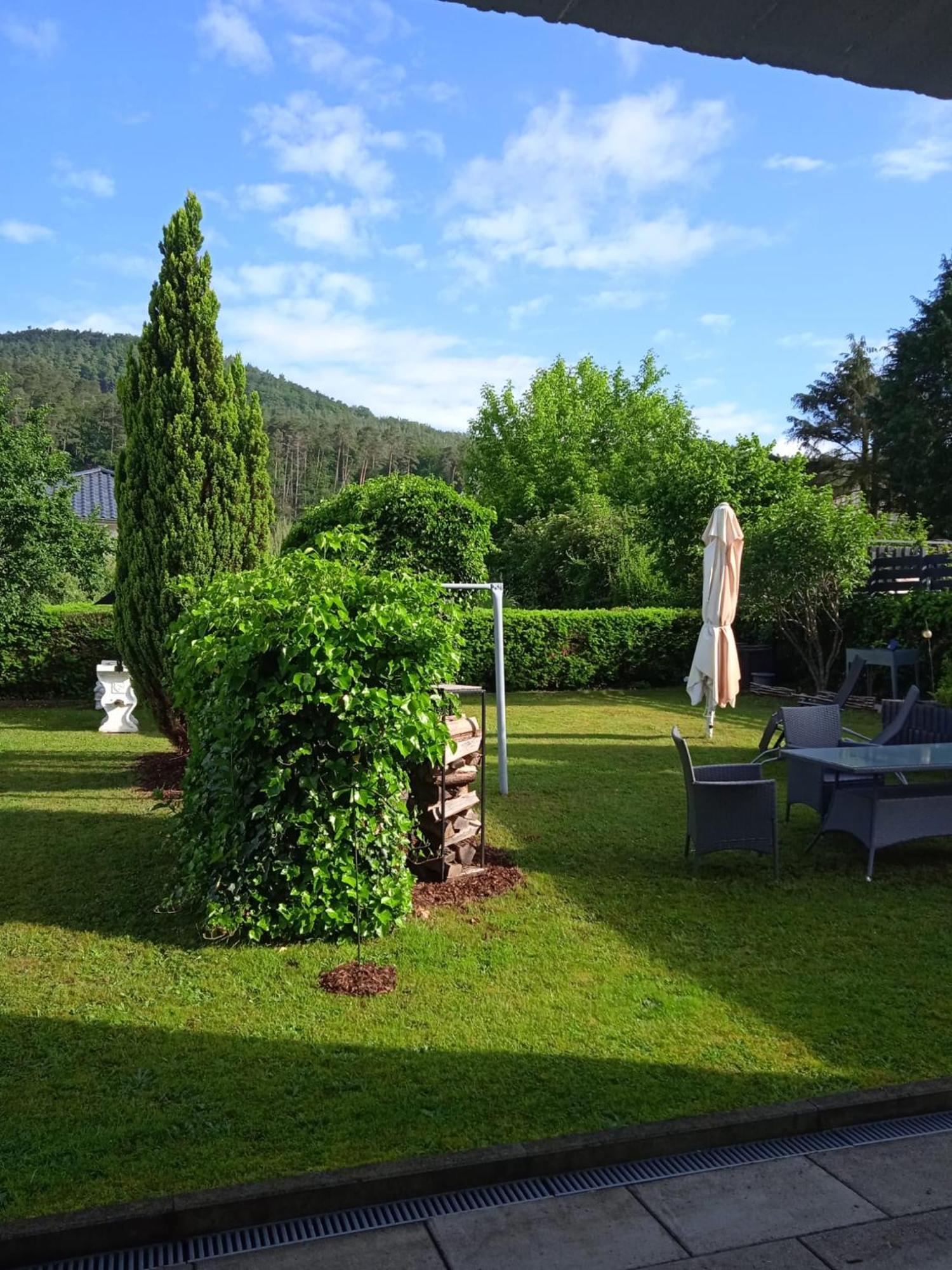 Ferienwohnung In Dahn Buitenkant foto